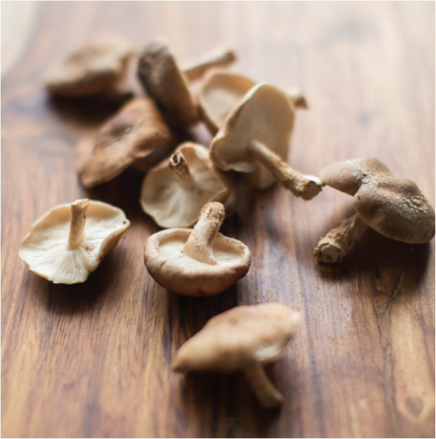 Picture of local shiitake mushrooms